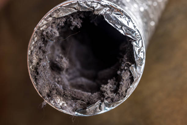 Best Air Duct Cleaning Near Me  in Brewster Heights, NY