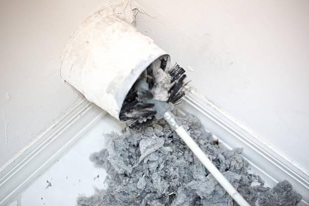 Best Air Duct Cleaning Company Near Me  in Brewster Heights, NY